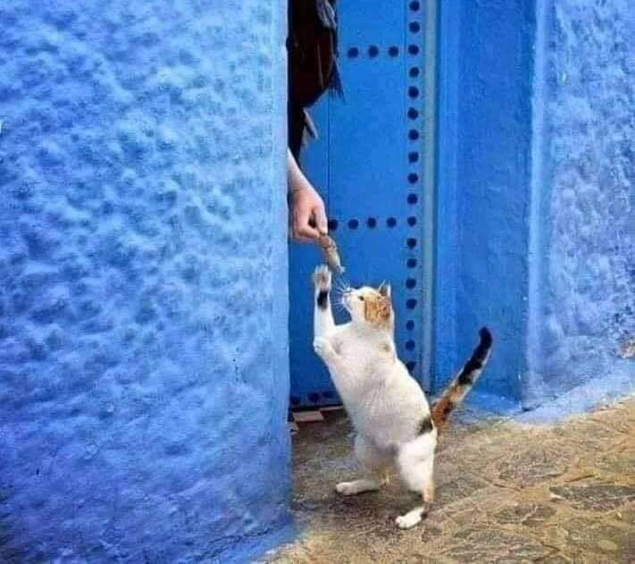 إذًا رزقت بلين القلب ف قد فزت بالجنة 💚