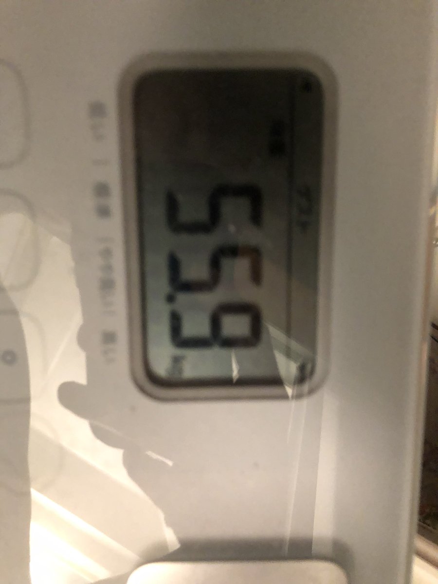 タヌキ tweet media