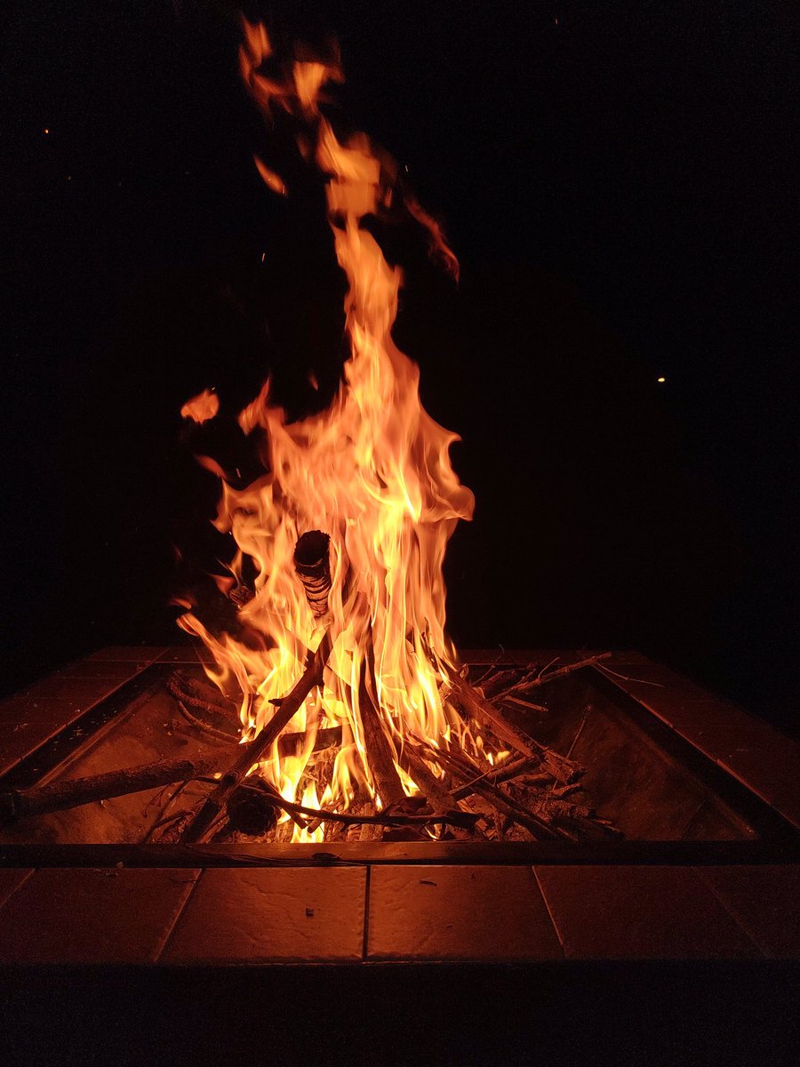 LuckyRhyno7's tweet image. Hope everyone has a great new year! 🎉🥂🥳