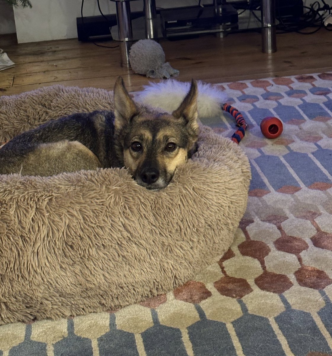 Rory Cellan-Jones tweet media