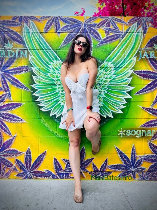 Sharing snippets from a few of my favorite projects of 2023 🖤✨📸 https://t.co/3FEHk7guWG