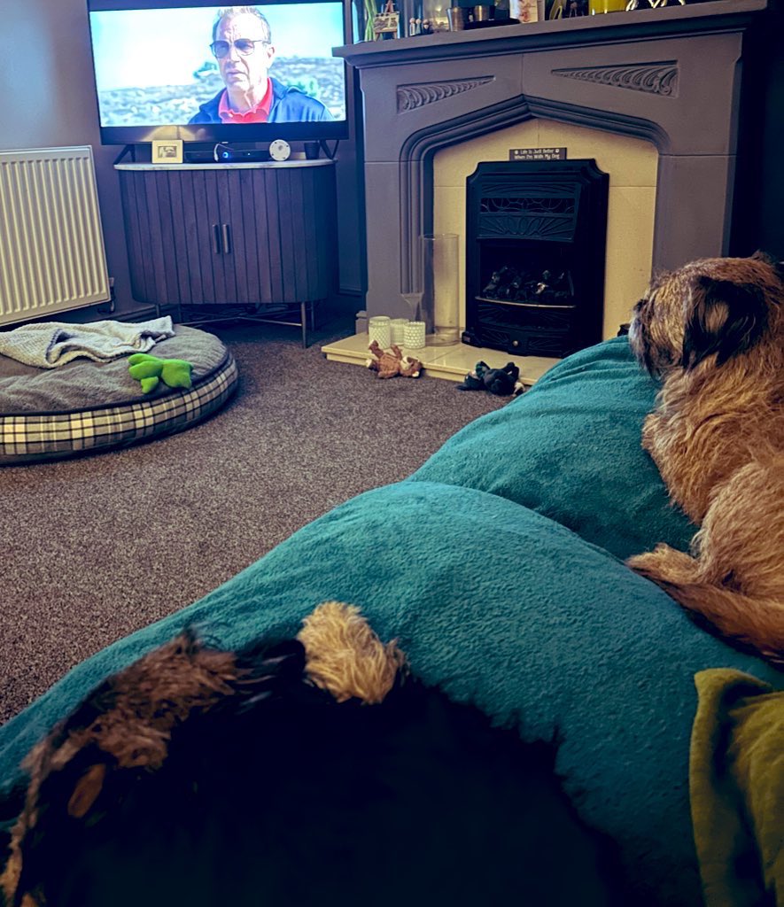 Riley_roo888's tweet image. So pals, as she did last year, mum is ending the year with some of her favourites, me and Kevin obviously 😆 and the little’un who has now made the cut 😉. Thanks for being our pals throughout the year, we love you all so much #BTPosse #PalsForever 🤎🖤 #HappyNewYear