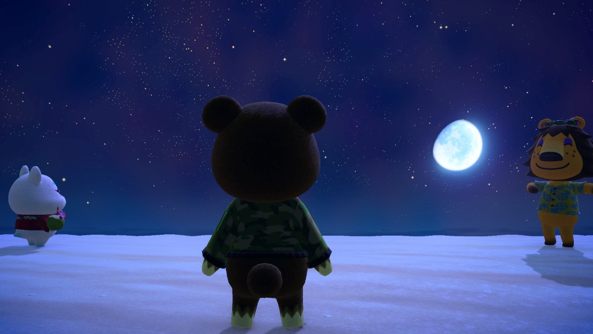 LemmyFan123's tweet photo. #AnimalCrossing #ACNH #ACHHP #NintendoSwitch https://t.co/njFM5wuZcU