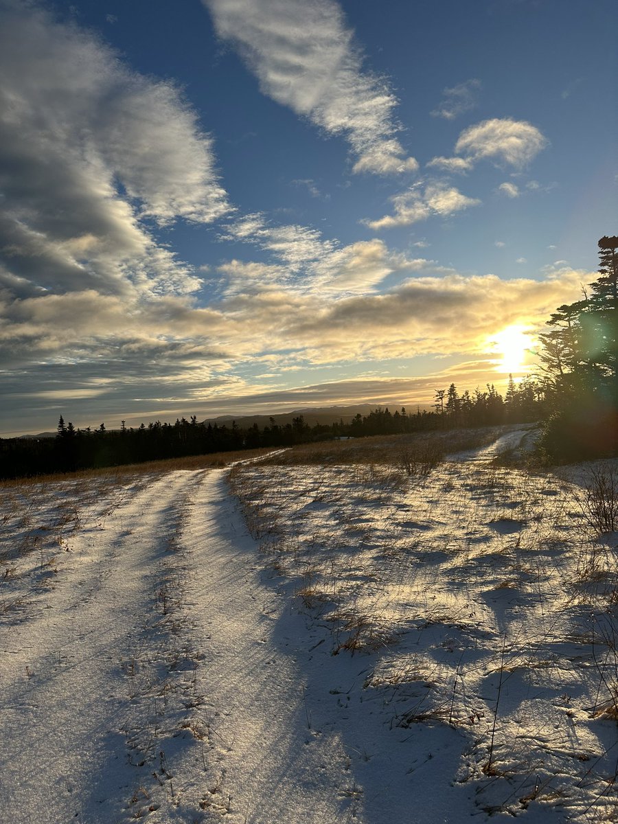 In the great outdoors of NL- a spectacular end to 2023. From far and near, thanks to all who made it a banner year! Wish you and your families a healthy and happy 2024.