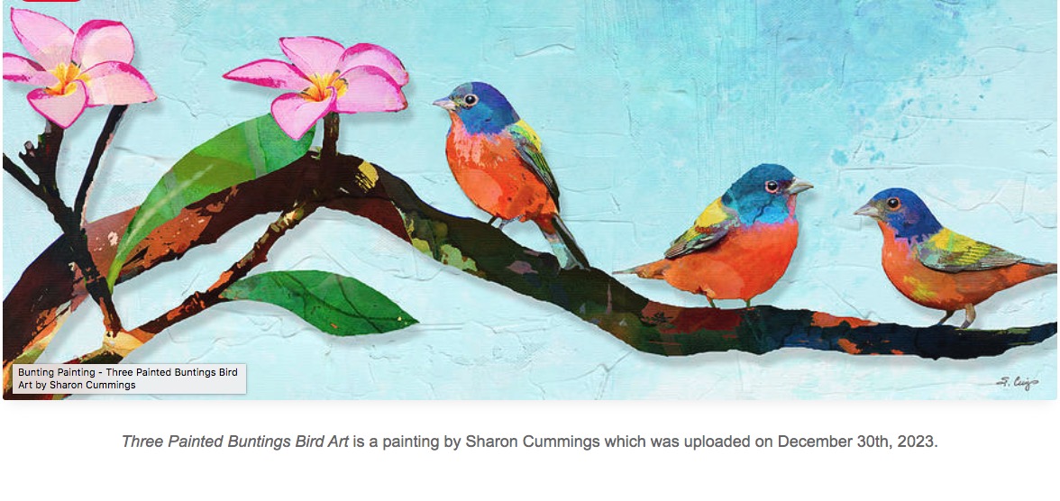 A NEW YEAR!!  Three Painted Buntings HERE:  fineartamerica.com/featured/three… #bird #birds #birdwatching #BirdsSeenIn2023 #buntings #paintedbuntings #Florida #Texas #nature #naturelovers #NatureBeauty #FillThatEmptyWall #buyINTOART