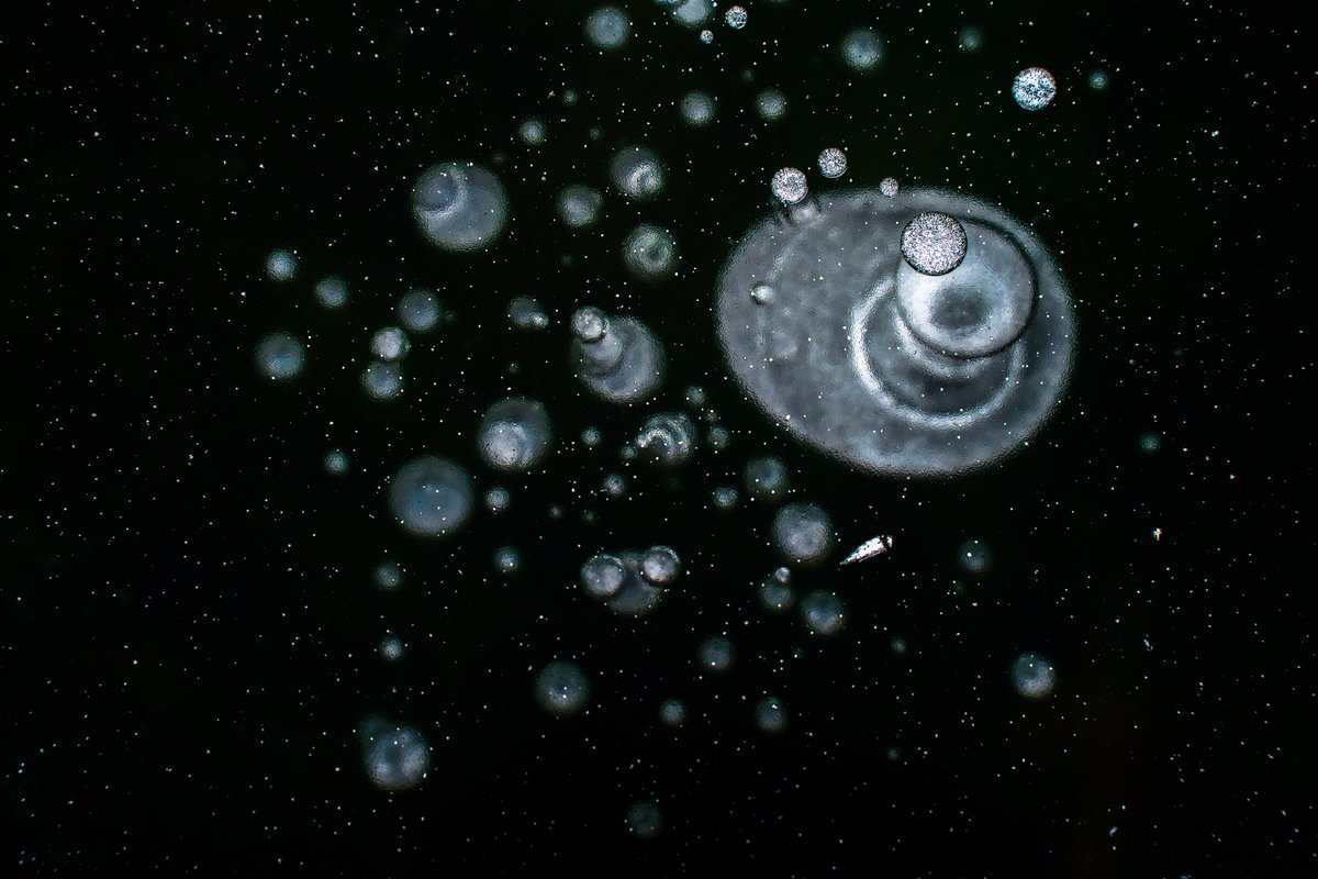 Instead of a fancy firework for New Year's greetings, I have these bubbles frozen in time. I love their otherworldly look; it looks like nature creates its own slo-mo fireworks. I wish you a happy New Year!

#endofyear #HNY2024 #photography