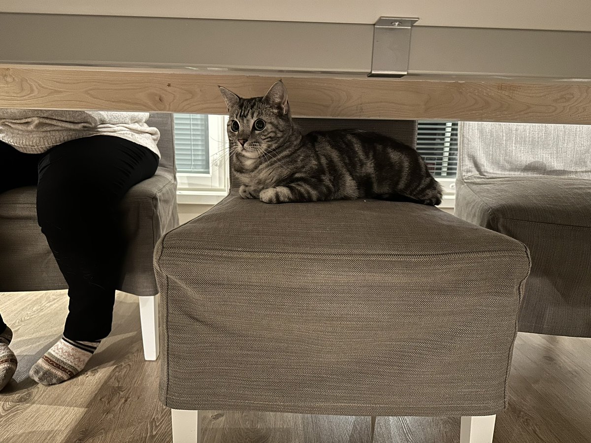 Esa Kaisjoki tweet media