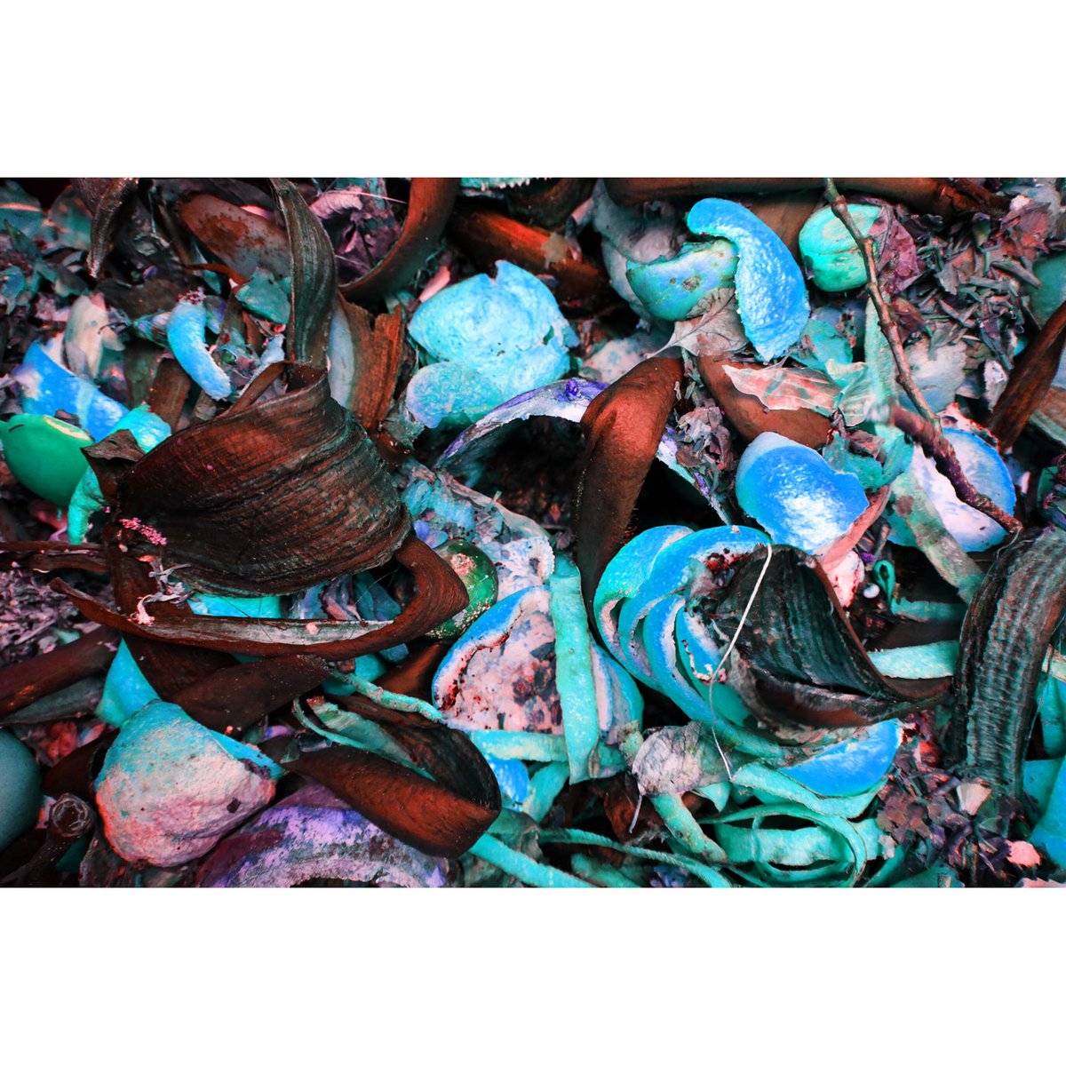 Das Alte...
#art #Kunst #artistsontwitter #Foto #photography  #Kompost #silentsunday 
bearbeitetes Foto, z.B 45 x 30 cm