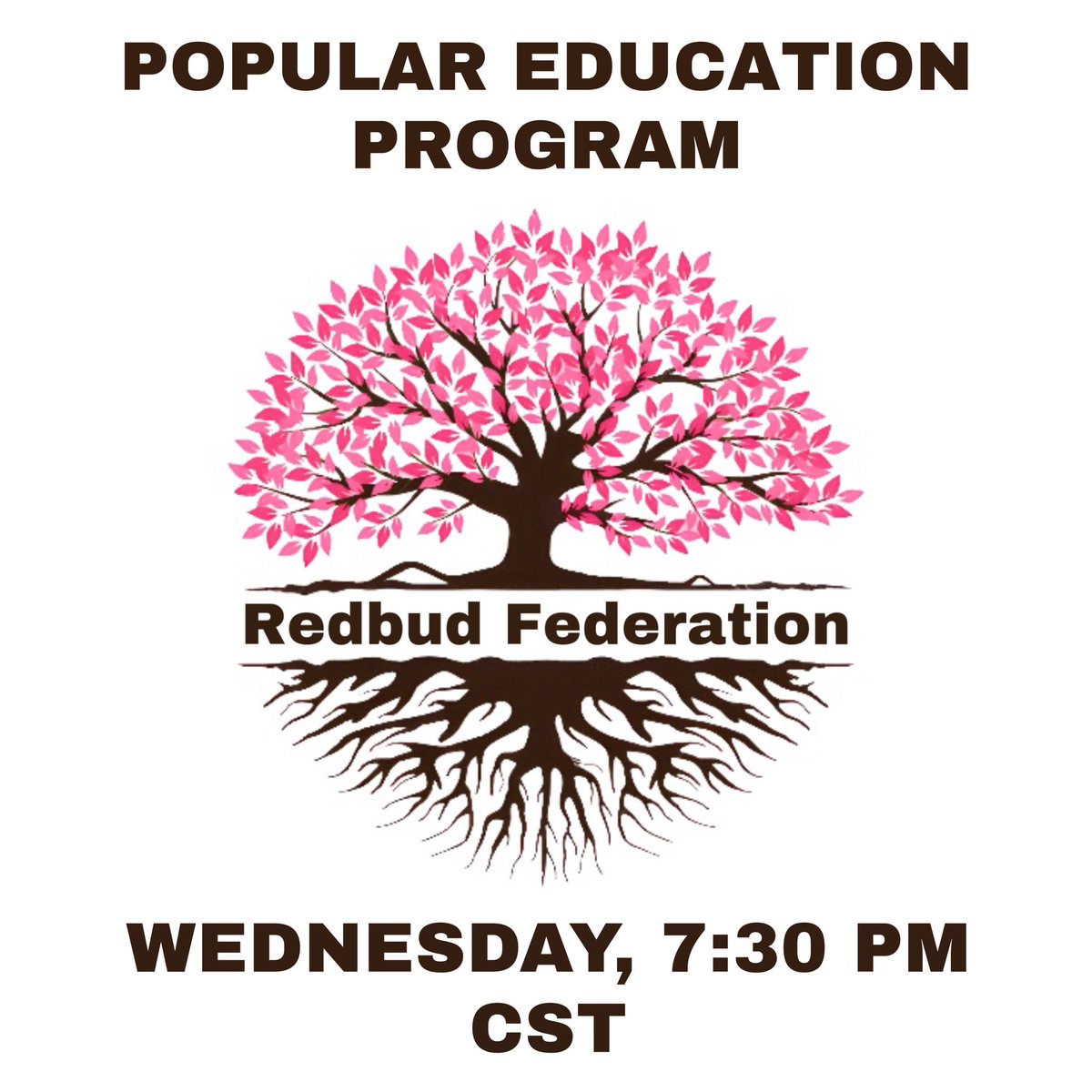 Redbud Federation’s Popular Education Program is returning in 2024! Join us on Wednesday, January 3 at 7:30pm CST for our Online Video Discussion session. The event will be held on Jitsi through Redbud Federation and member organization’s discord servers.