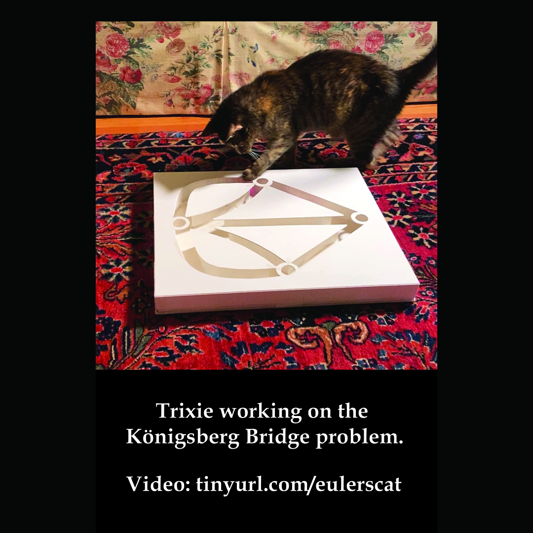 Michael Ribick made a video tinyurl.com/eulerscat of Trixie playing with <a href="/JessicaKSklar/">Jessica K. Sklar</a>’s &amp; my functional Königsberg Bridge cat toy in our <a href="/QEDArtsLLC/">QED Arts, LLC</a>’s “Euler’s Cat” in the #JMM2024 <a href="/JointMath/">Joint Mathematics Meetings</a> Math Art Exhibition bit.ly/48ChE3K #eulersidentity #math #mathart #mathcats
