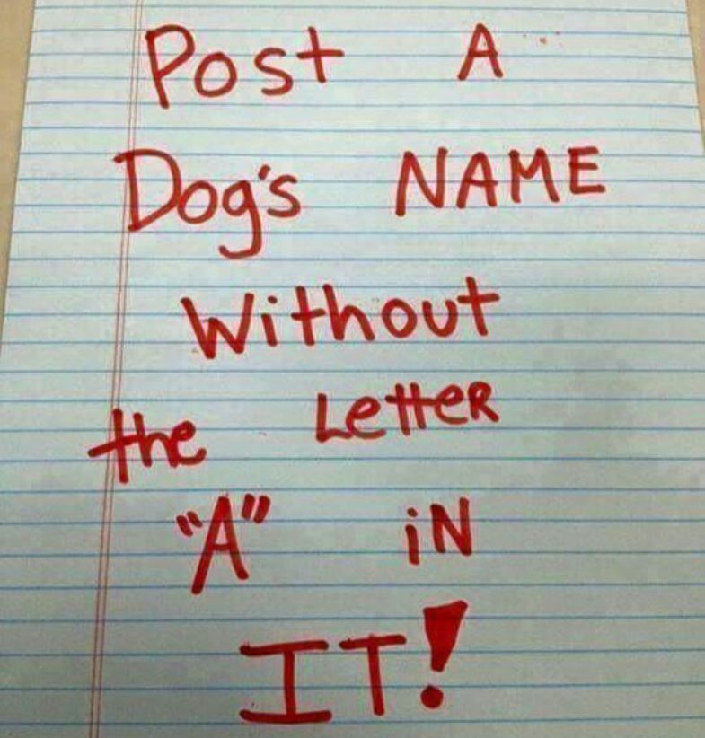 Wow Animals tweet media