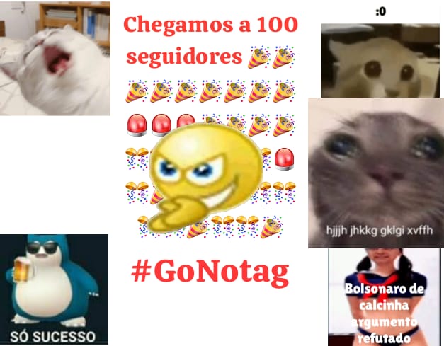 NoTagCS's tweet photo. Só passando pra agradecer todo pessoal, que vem seguindo e acompanhando a gente por cima, esse ano de 2024 vai ser dahora pra gente, fiquem ligados ainda seremos grandes 

no geral obrigado todo mundo e feliz ano novo 🫶

#GoNotag🦊 https://t.co/7RqYqHJO9y