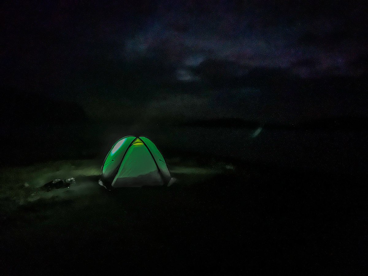 Nick Ray tweet media