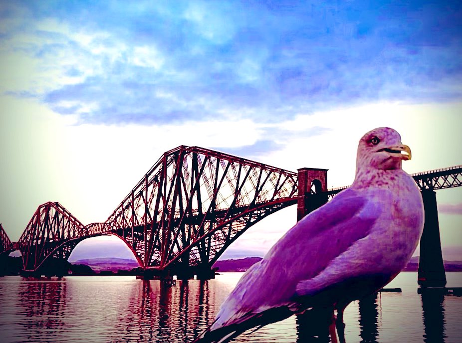 Graham Mitchell (@gsmlawyer) on Twitter photo 