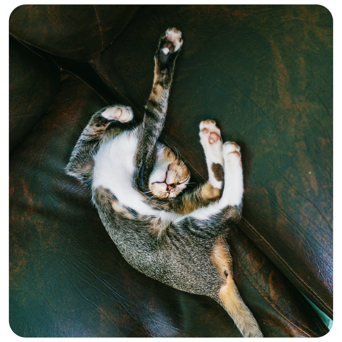 AvionneCelestin's tweet image. Good morning #WritingCommunity 🖤

Let's start the day with a #writerslift

Drop the links to your #books, #blogs, #poetry, #art, #websites, or anything else you want to share

RT others to spread the love
🖤🖤🖤