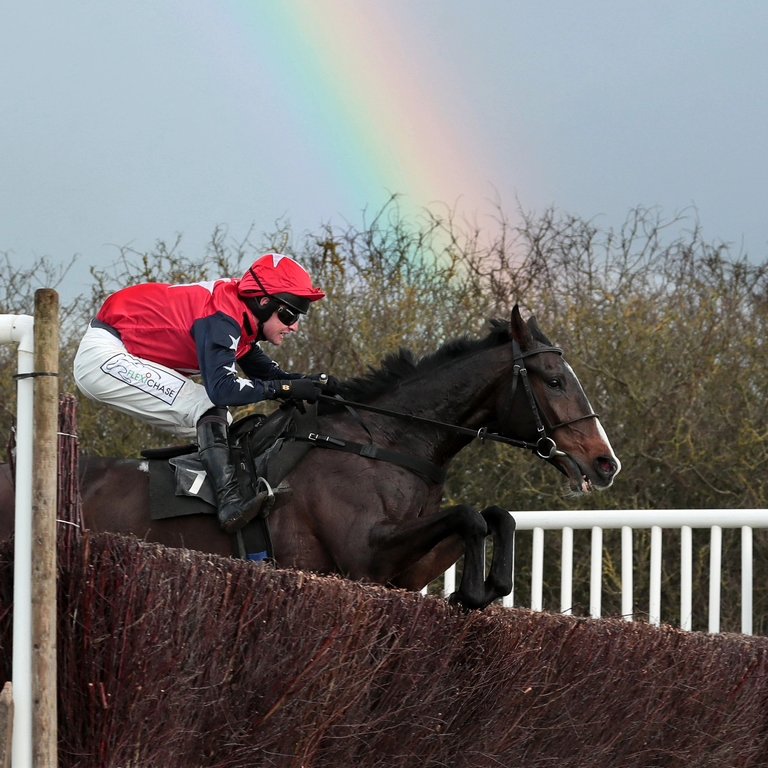 What really lies at the end of a #Rainbow #gopointing  #HorseRacing #racehorse