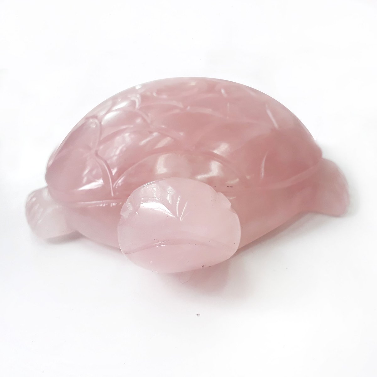 AgarwalAnushth's tweet photo. Rose Quartz Tortoise Crystal Stone reiki healing hand carved figurine
Length : 1.5 inch /Width : 5.5 inch / Weight : 469 gram
https://t.co/ffpFj2QpZo
#carvedturtle #turtlefetishcarving #quartzcrystal #rosequartzcrystal #healingstonesandcrystals #fengshui #tortoise #luckystones https://t.co/SRnimaVAGR
