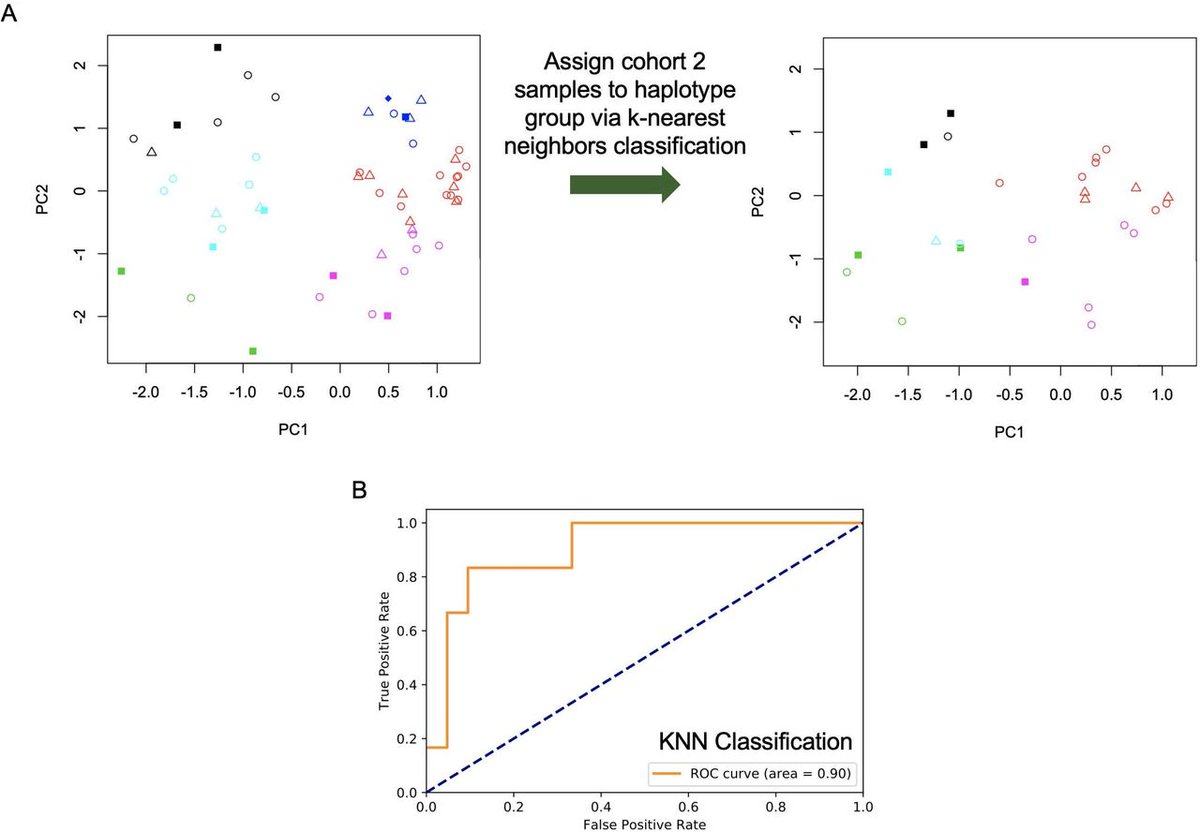 jitcancer's tweet photo. Countdown to 2024: #JITCTop10 - T-cell receptor beta variable gene polymorphism predicts immune-related adverse events during checkpoint blockade immunotherapy https://t.co/AcVZeYvmtX @DrSapnaPatel @ANaingMD https://t.co/53iXK2oCRu