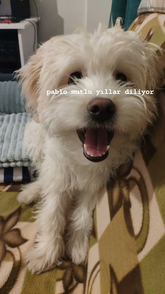 Özer Biçer (@ozerbicer) on Twitter photo 