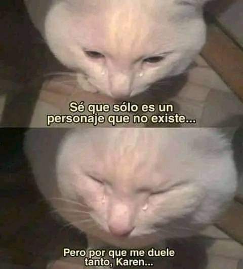 El Cóndor tweet media