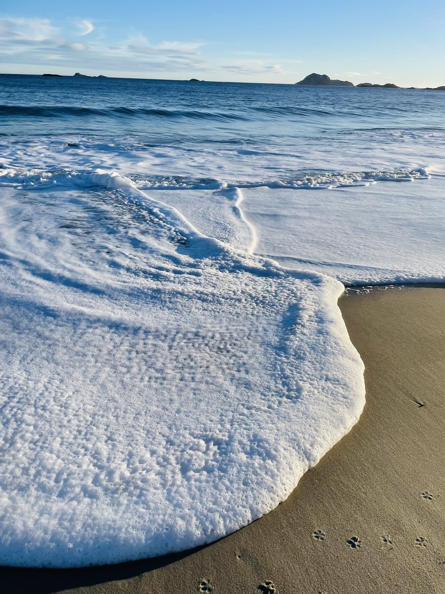 valene_roach's tweet image. A beautiful last day of 2023 at Sandbanks Provincial Park, Burgeo NL
#123123 #HappyNewYear2023 
@EddieSheerr @NLtweets @weathernetwork