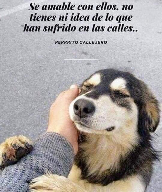 Mayú Guillén 🇲🇽🇺🇦 tweet media