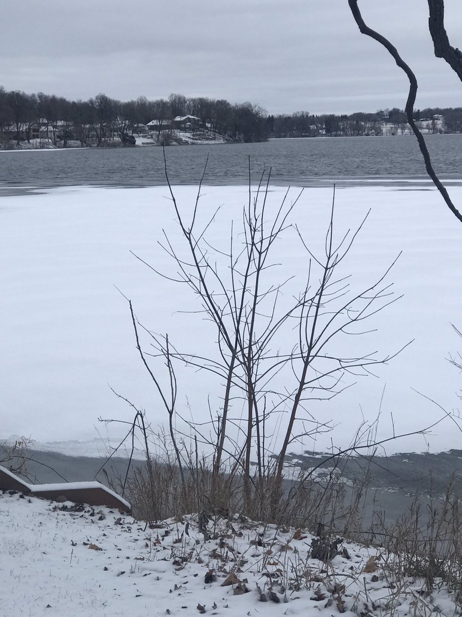 stupidtrumpers's tweet photo. Sunday Funday Runday
8 miles around Medicine Lake finally some snow cover overnight. Last run of 2023 ! #HappyNewYear2024 #sundayrunday #winterrun @GrandmasMara #runner #bostonqualified #marathon https://t.co/hS42wdIY2U