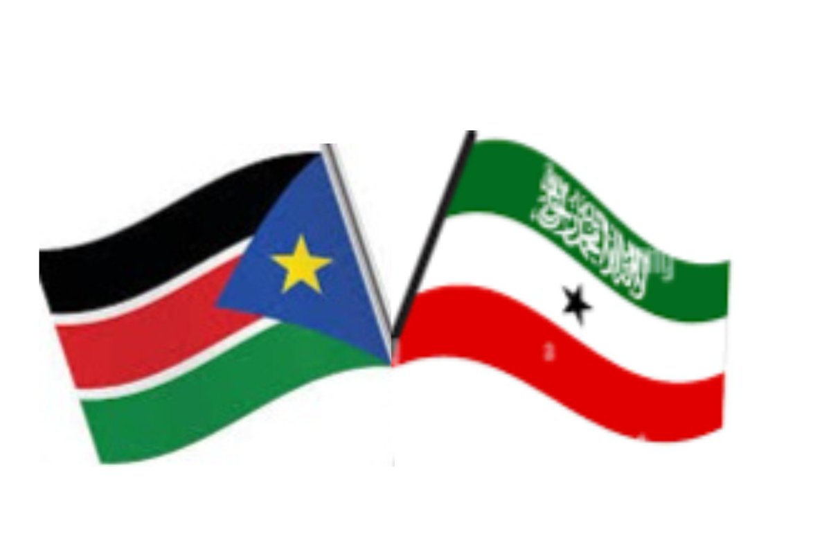 Somaliland in SouthSudan tweet media