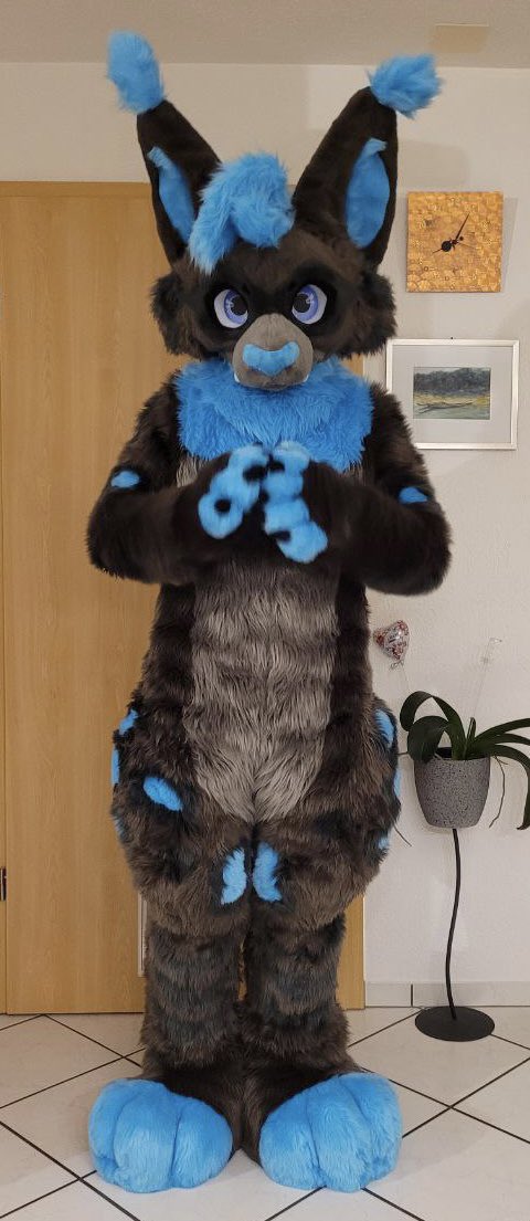 Corgilope tweet media