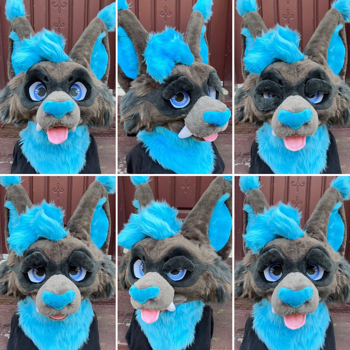 Corgilope tweet media