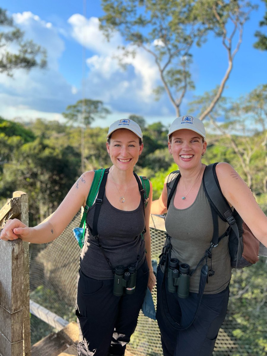 The Bug Chicks tweet media