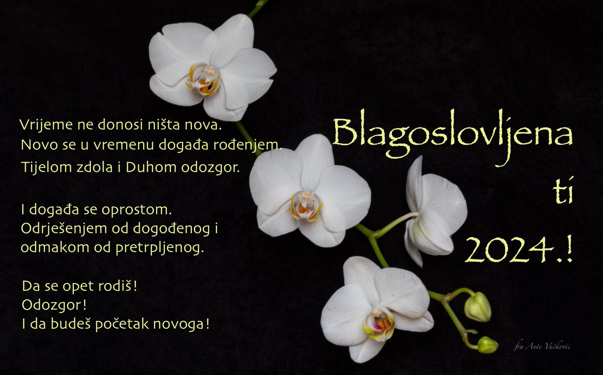 fra_Ante's tweet photo. https://t.co/NrSB5vlfDV