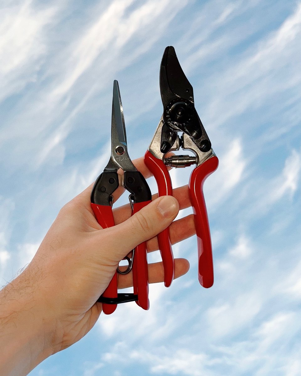 fleabone's tweet image. 