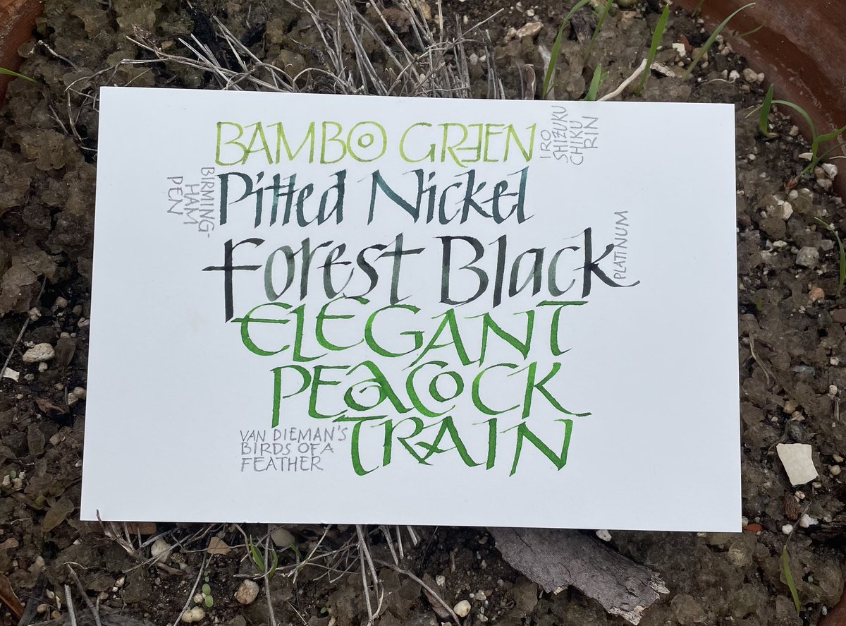 CalliScribbles's tweet photo. green grünes midori vert https://t.co/YHNGEsBKsJ