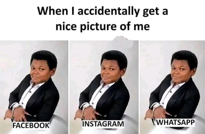 WholesomeMeme's tweet photo. https://t.co/9ge8PnNRsJ