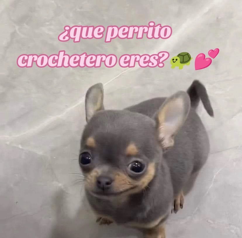 (ゝ。∂)✶ tweet media