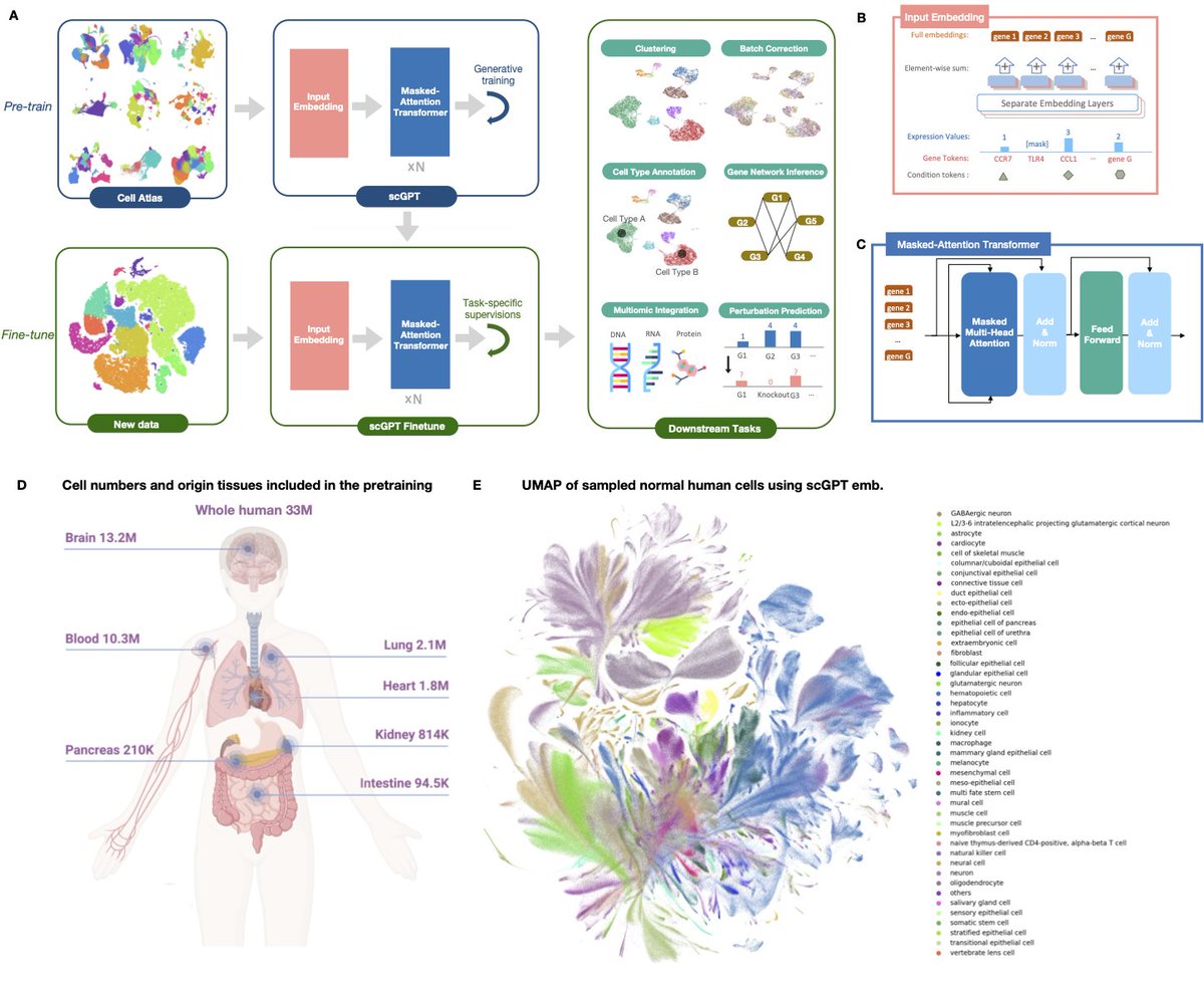 Multimodal medical AI – Google Research Blog