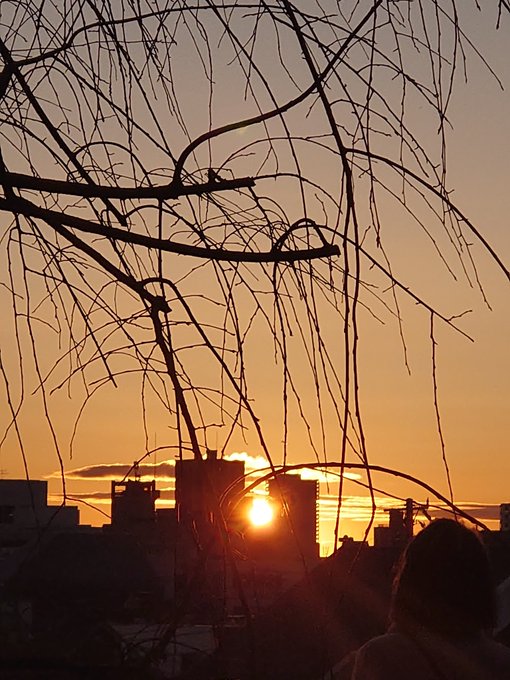 近所の高台で初日の出 