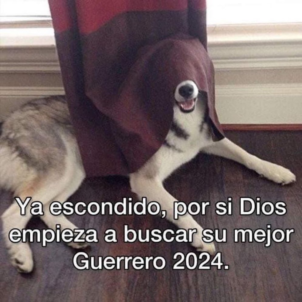 flanchota's tweet photo. https://t.co/QMLfDdgqFw