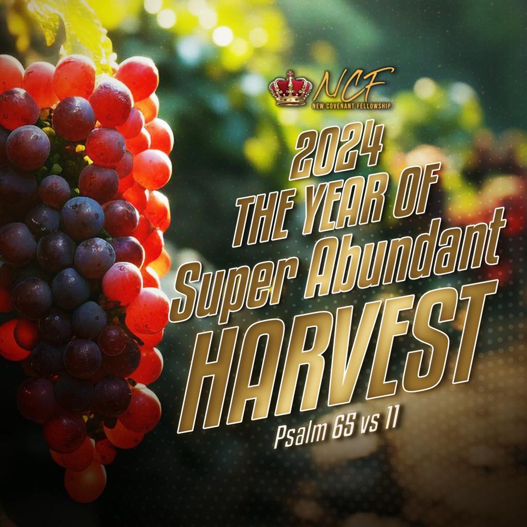 ncfdbnza's tweet photo. In 2024 - God is crowning your year with bountiful harvests… Even the hard pathways will overflow with abundance! https://t.co/JyrOHX3oDD