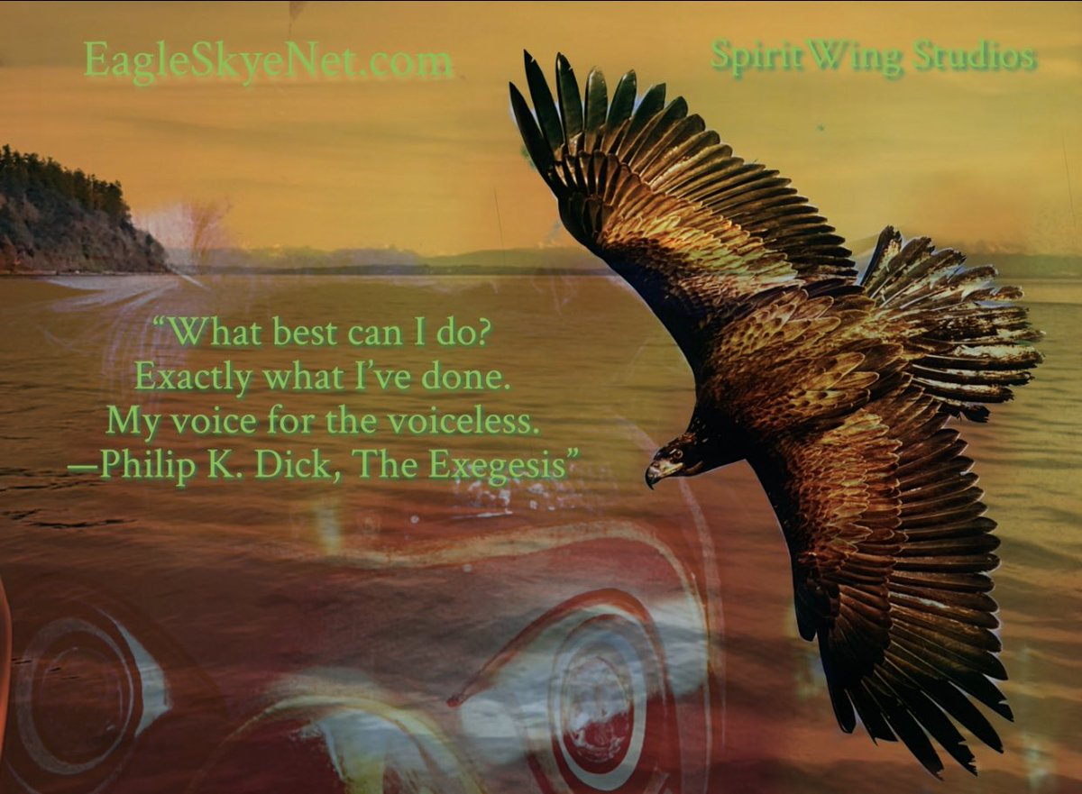 EagleSkyeNet's tweet photo. Another year… a voice for our feathered friends https://t.co/dNpp7rMUo7