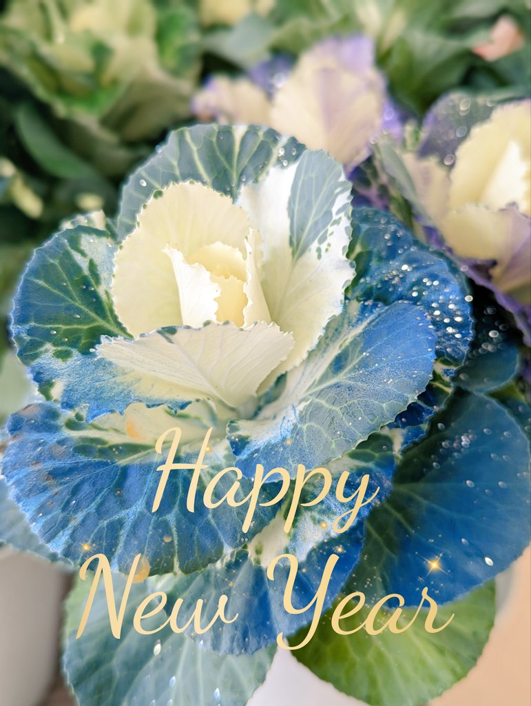 brqkr's tweet image. 🎍2024年🎍
   明けまして
   おめでとう御座います

旧年中はありがとう御座いました

本年もよろしくお願いいたします🌸

皆さまが心身共に
健やかな一年でありますように✰࿐⋆*