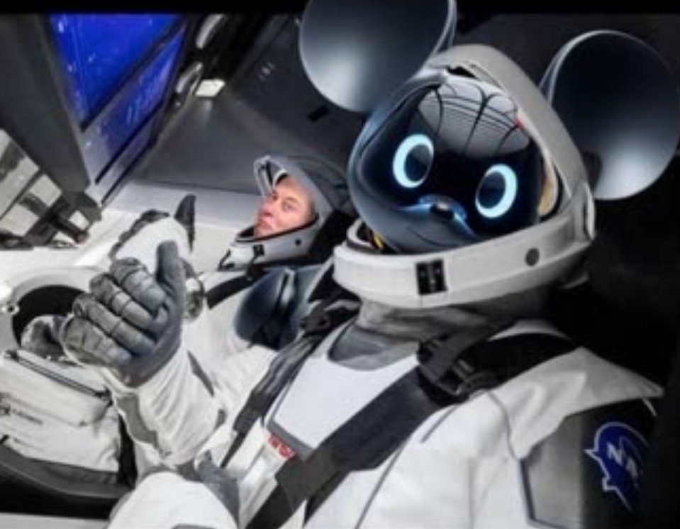 cryptostreetoff's tweet image. Ready to fireworks with the boss @elonmusk and the #OPTIMOUSE