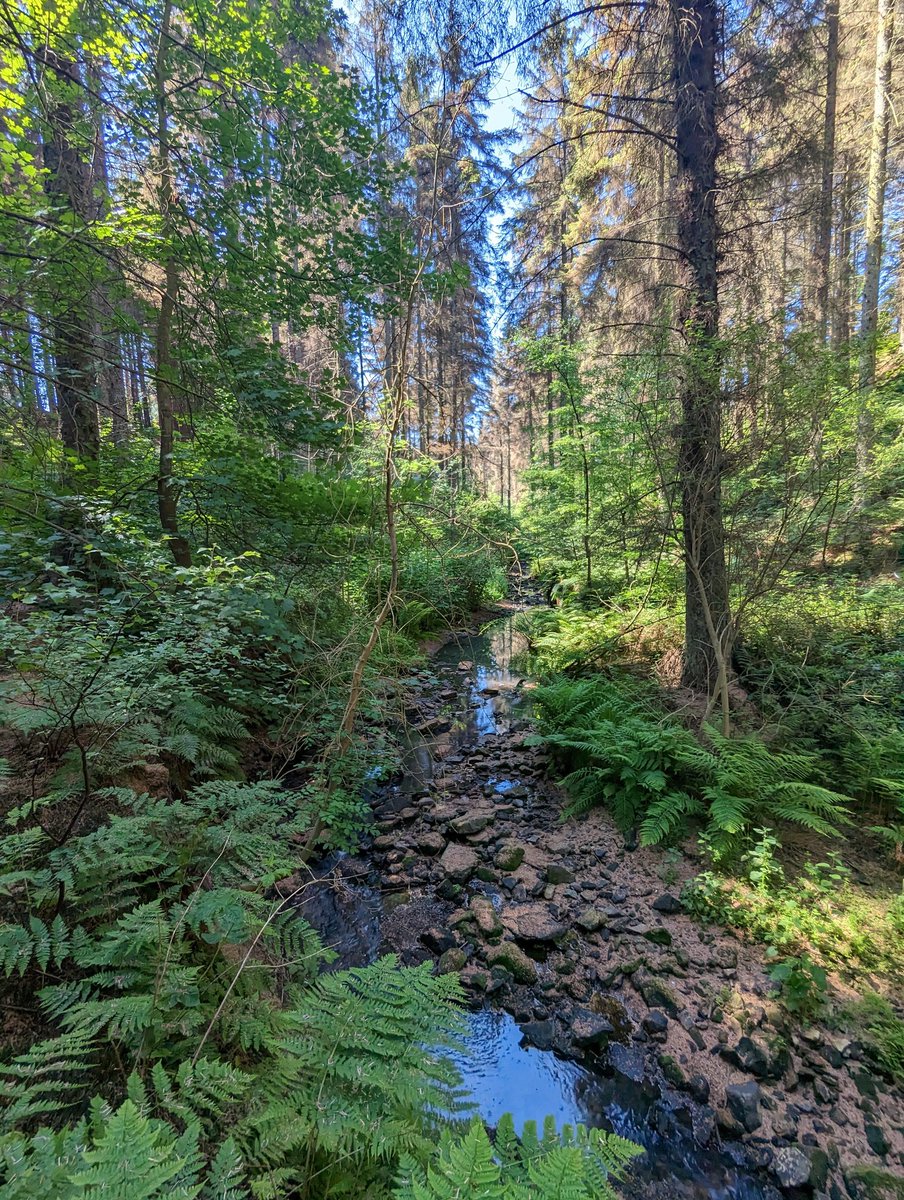 BeardedUniverse's tweet photo. 4 of my favourite pics from 2023.
Witnessing my first aurora.
Discovering the most magical tree in Humbie woods.
Discovering the captivating Cardenden woods.
And seeing magical nacreous clouds just minutes after bringing Mum's ashes home.
I hope 2024 brings you nothing but magic. https://t.co/Iu1Eo9cB7A
