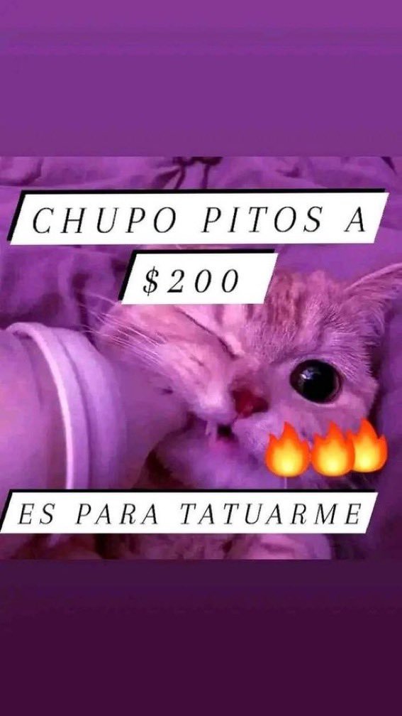 ParejaToluca6969 tweet media