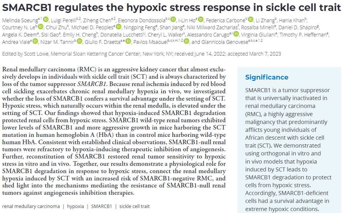 1/7 Six papers published in 2023 that improved our understanding of #RenalMedullaryCarcinoma: this study connected hypoxia & SMARCB1 loss in the medulla of individuals with #SickleCellTrait elucidating a key mechanism of resistance to anti-VEGF treatment: pubmed.ncbi.nlm.nih.gov/37186844/