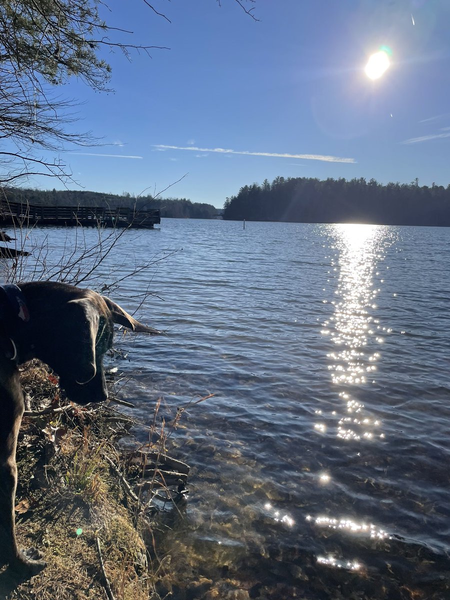 WillKehler's tweet image. One last hike in 2023 to celebrate the “Year of the Trail” in N.C.  Paddy’s Creek State Park and Fonta Flora never disappoint! #plotthound #NCStateParks