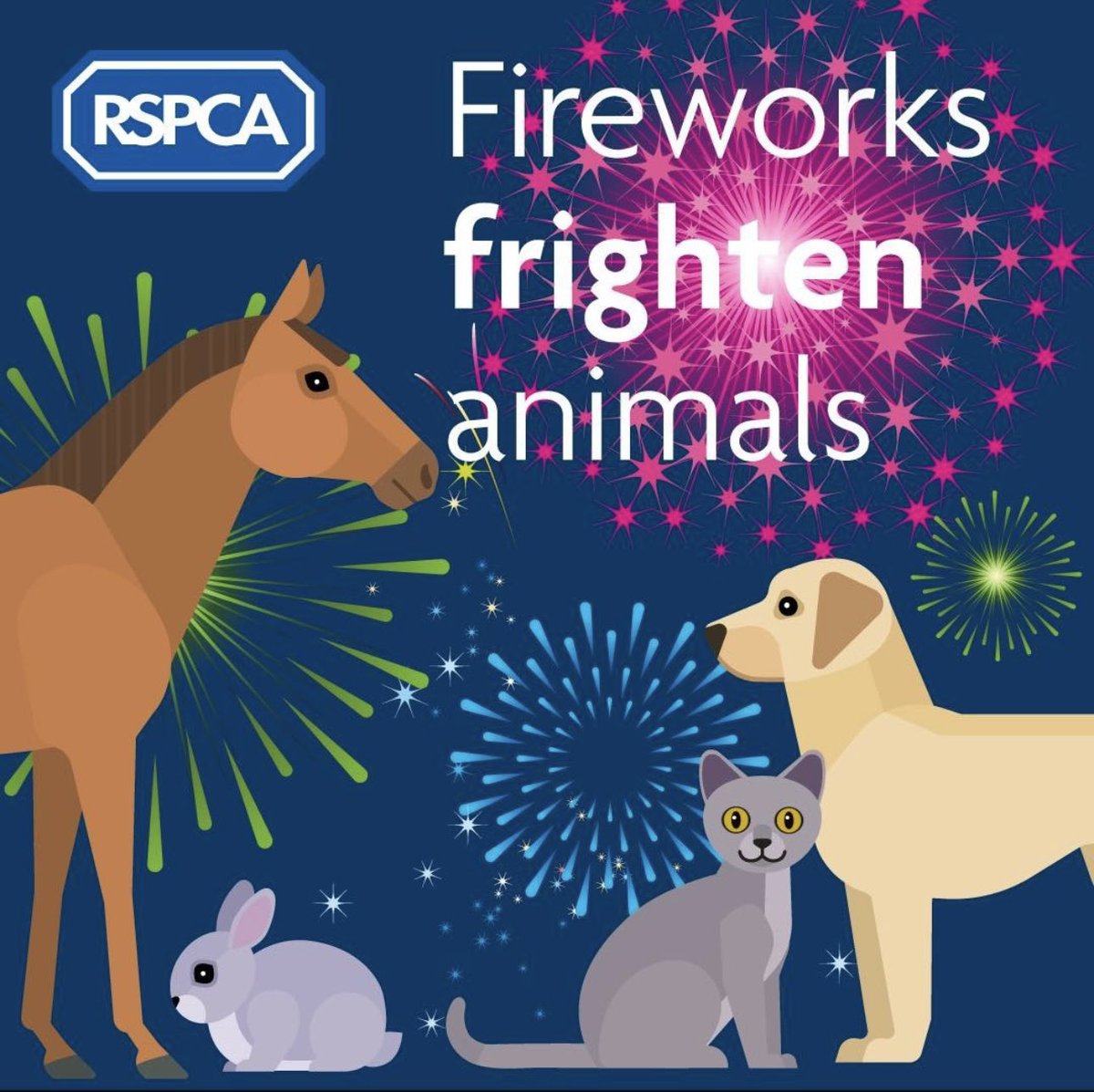 JulietMckee's tweet photo. Pathetic idiots who can’t get past New Year’s Eve without setting off really loud fireworks (right outside my house). My poor cats are shitting themselves. It’s selfish and bloody cruel. Private sales should be banned. #fireworks https://t.co/kqXoHe0mBF