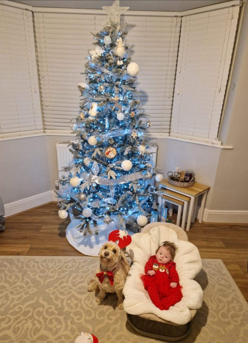 My Grandaughter and Nala.