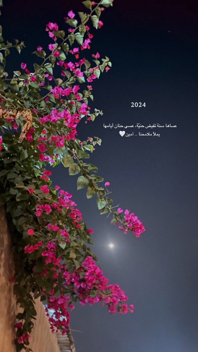 فيافي (@foofoo2744) on Twitter photo 